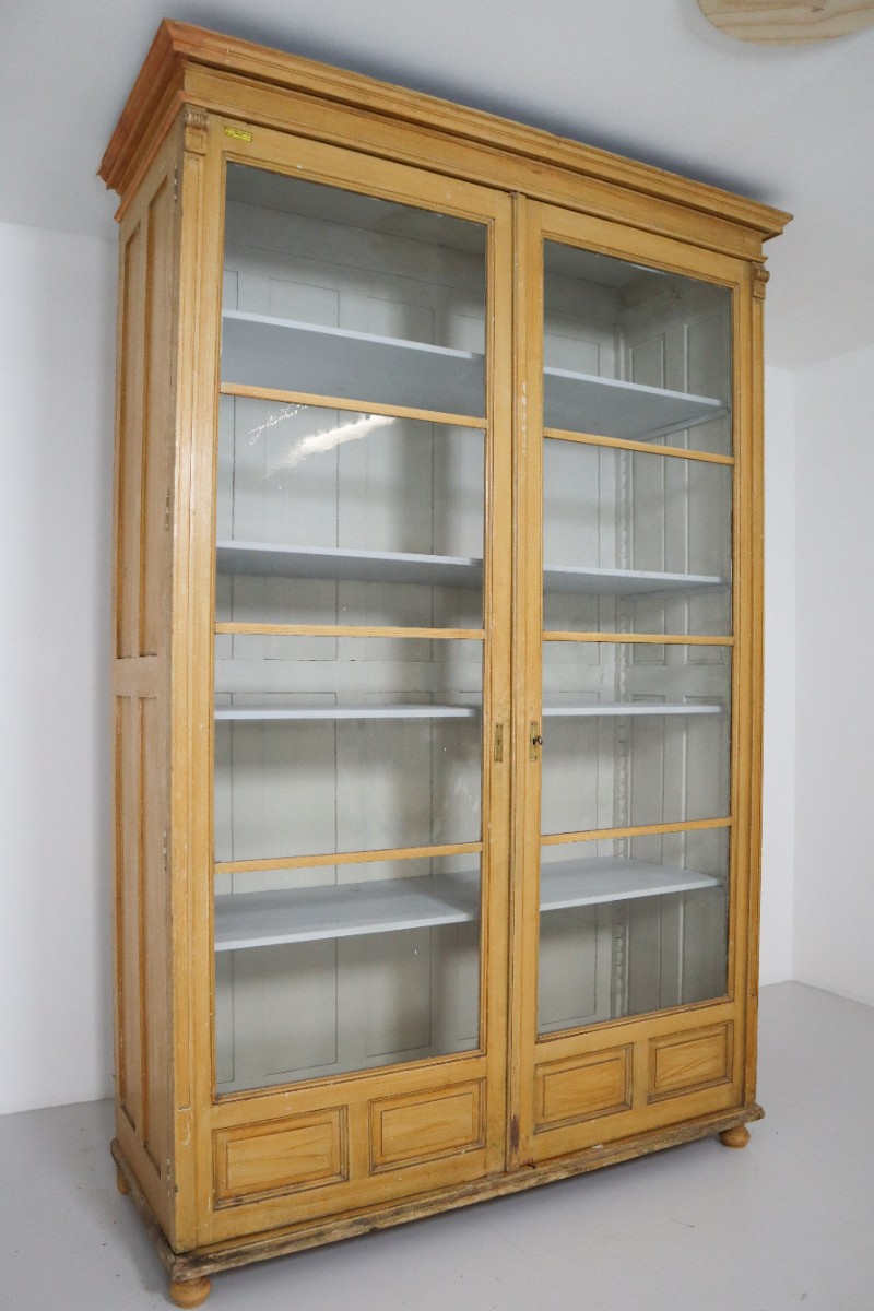 Antique Pine Grand Display Cabinet From University Vienna 1870