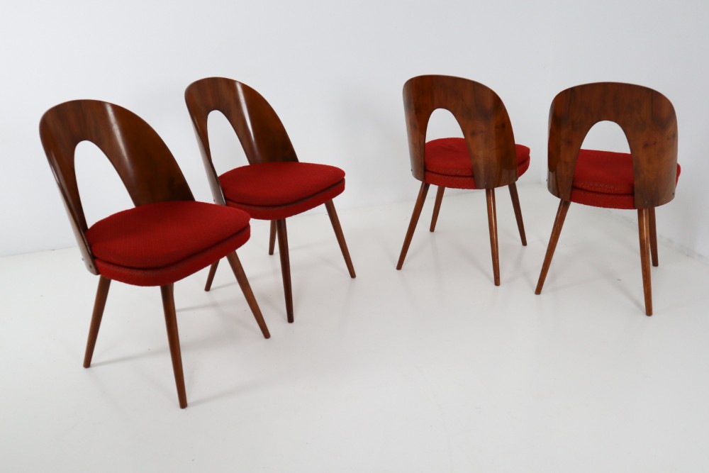 Suman chairs discount