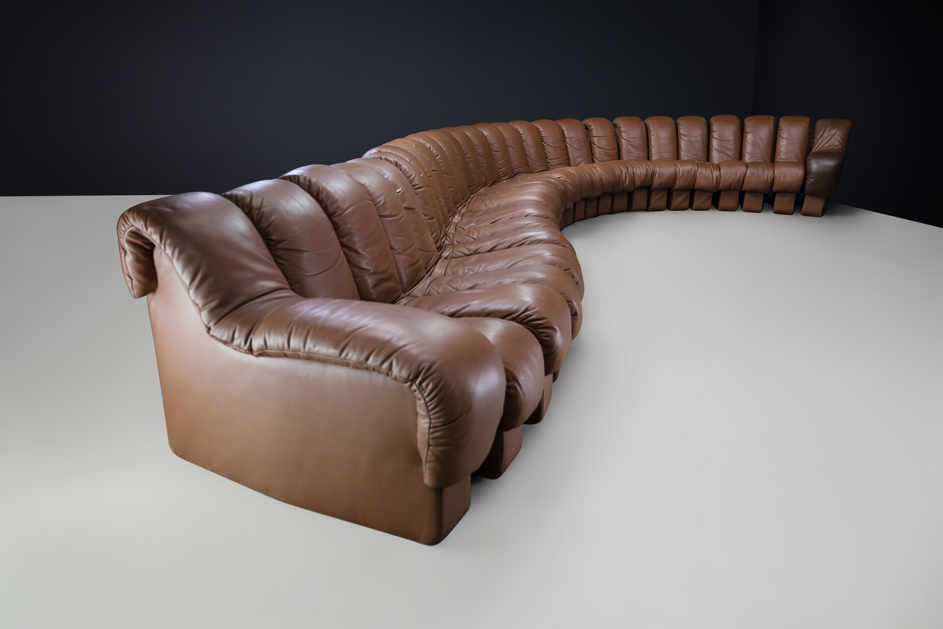 Mid century modern De Sede DS 600 'Snake' Sectional Sofa in Patinated Brown Leather by Ueli Berger Switzerland 1972 Late-20th century