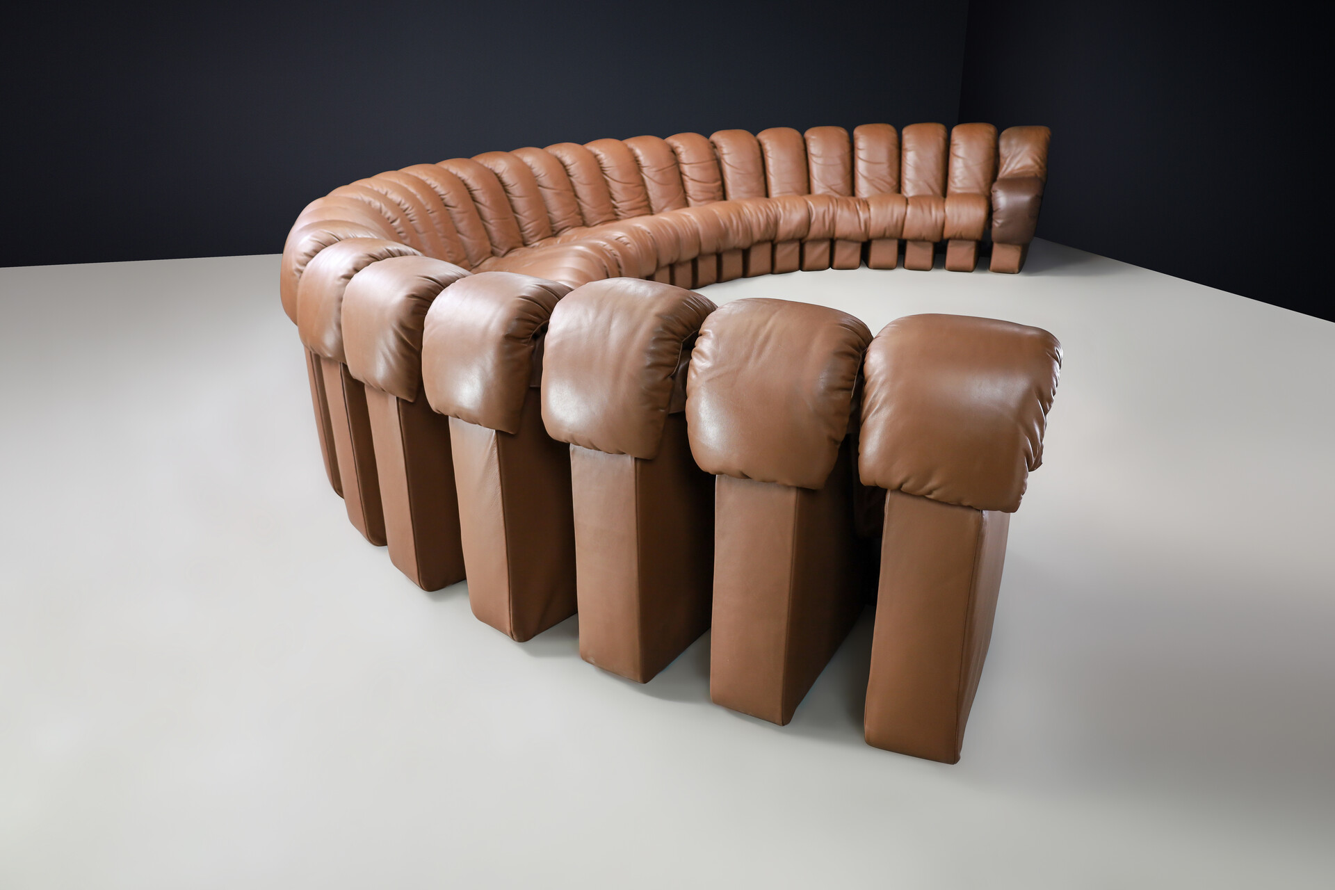 Mid century modern De Sede DS 600 'Snake' Sectional Sofa in Patinated Brown Leather by Ueli Berger Switzerland 1972 Late-20th century