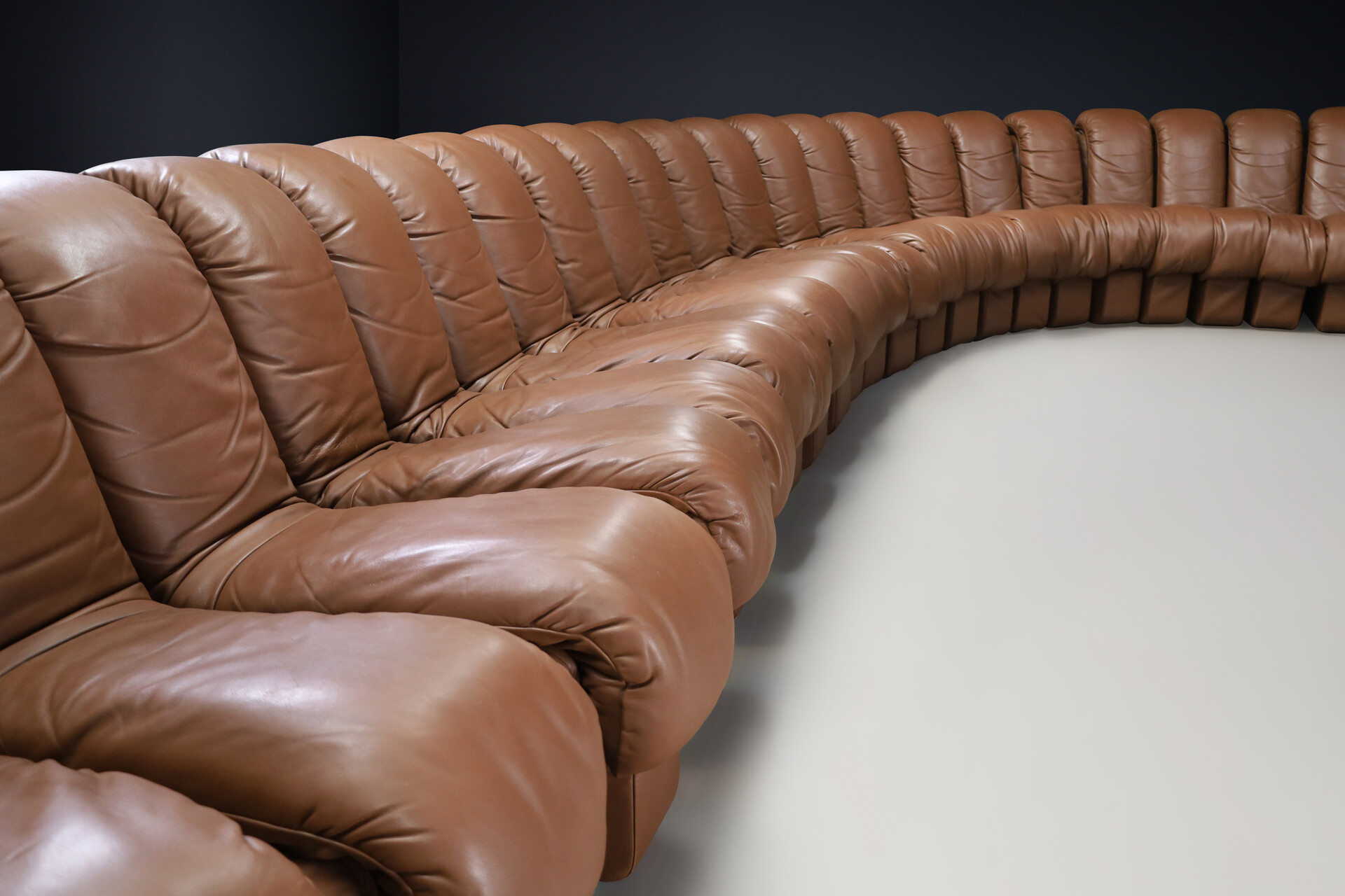 Mid century modern De Sede DS 600 'Snake' Sectional Sofa in Patinated Brown Leather by Ueli Berger Switzerland 1972 Late-20th century