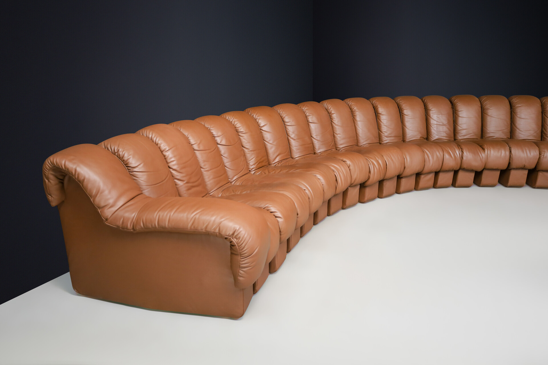 Mid century modern De Sede DS 600 'Snake' Sectional Sofa in Patinated Brown Leather by Ueli Berger Switzerland 1972 Late-20th century