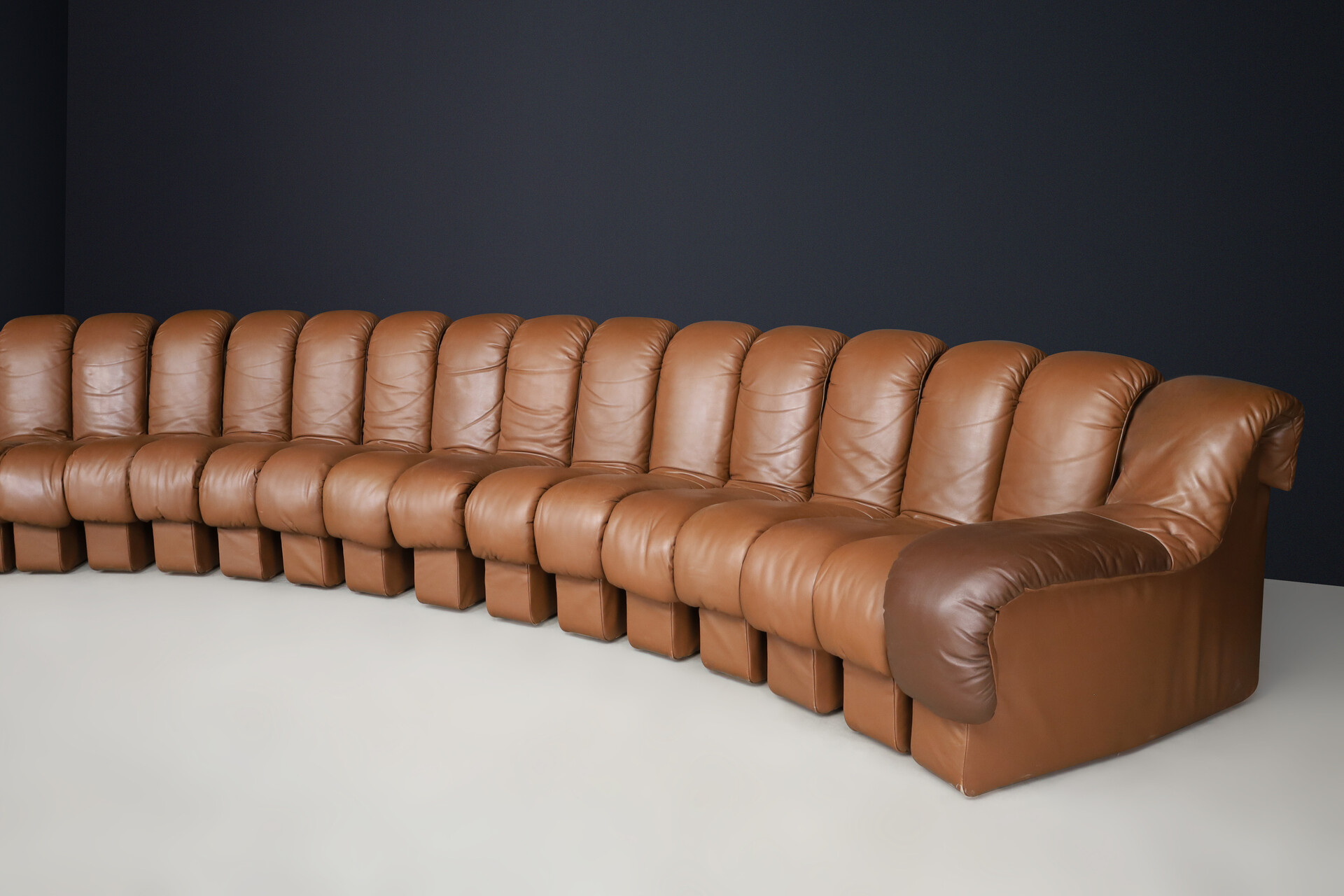 Mid century modern De Sede DS 600 'Snake' Sectional Sofa in Patinated Brown Leather by Ueli Berger Switzerland 1972 Late-20th century