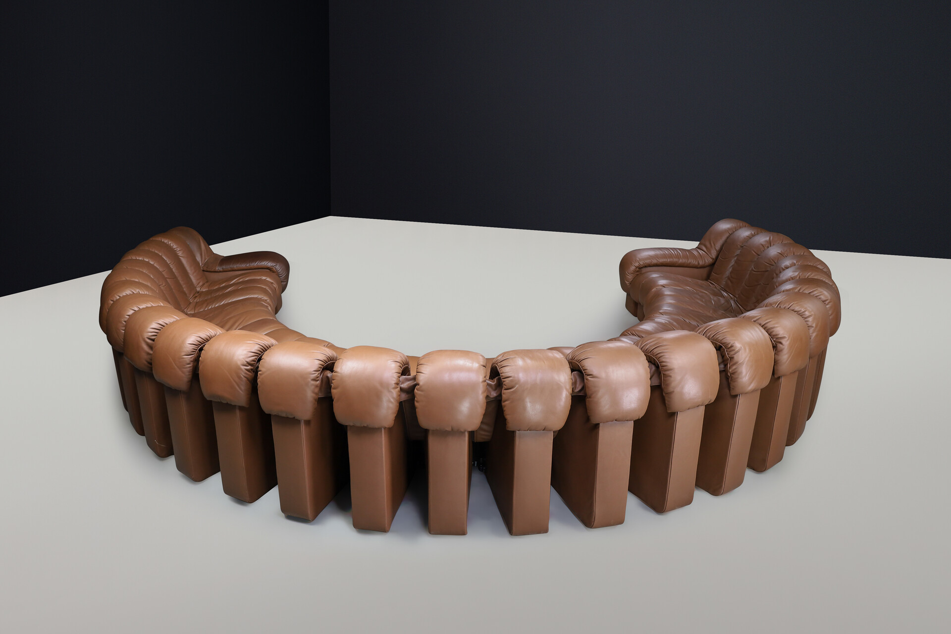 Mid century modern De Sede, ‘Snake’ DS-600 sectional sofa in twenty-seven elements, Full brown leather, fabric, Switzerland, 1972 Late-20th century