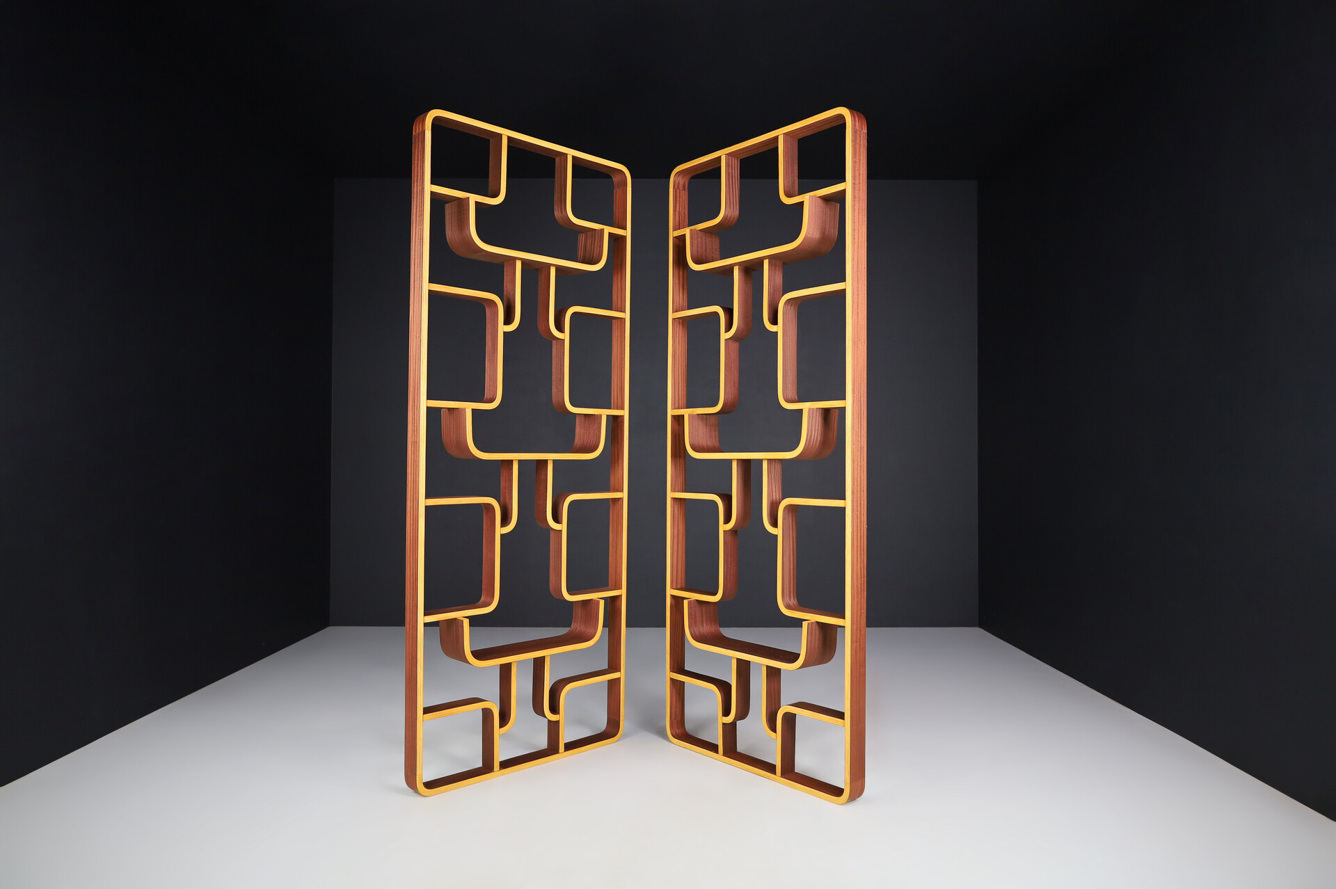 Mid century modern Room Divider by Ludvik Volak for Drevopodnik Holesov, 1960s Mid-20th century