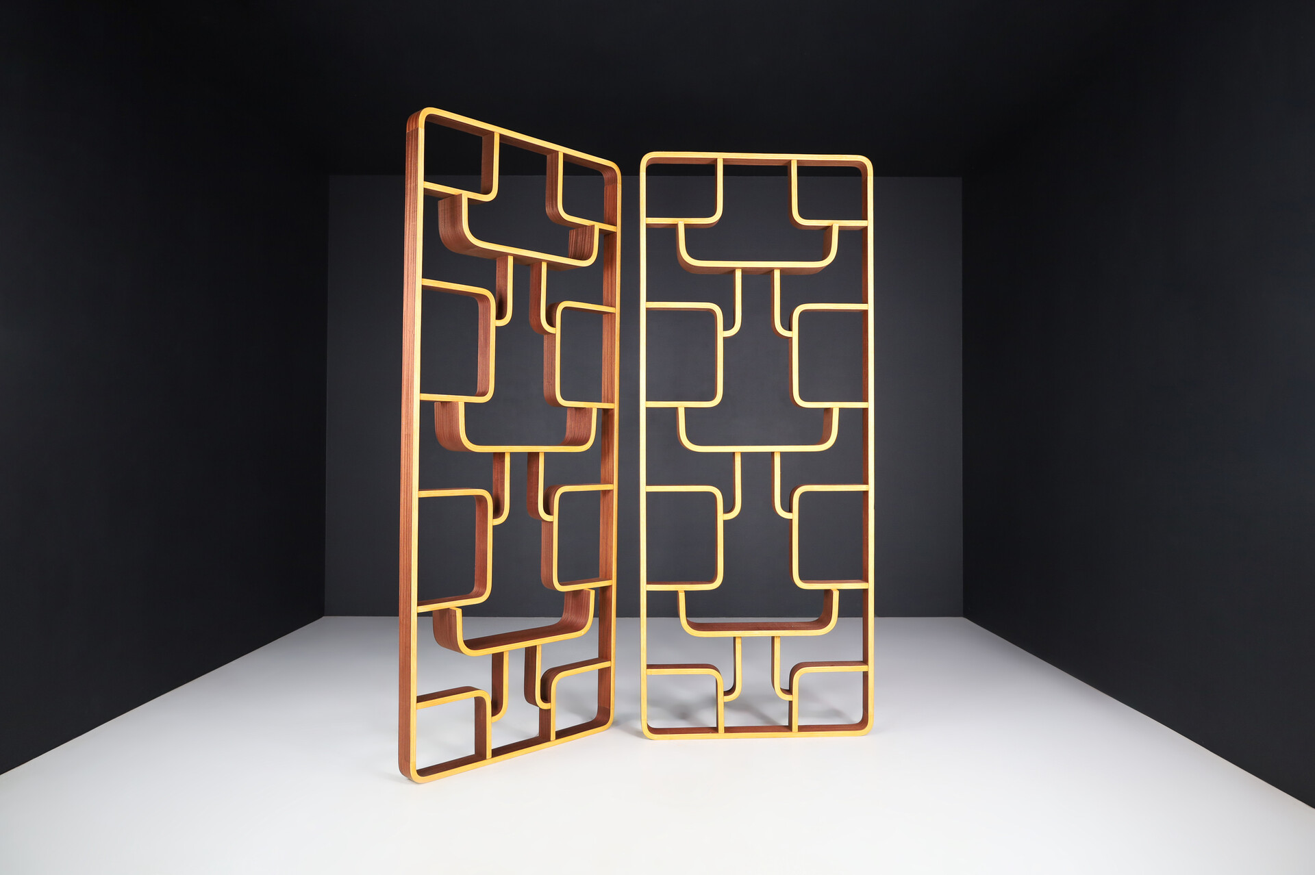 Mid century modern Room Divider by Ludvik Volak for Drevopodnik Holesov, 1960s Mid-20th century