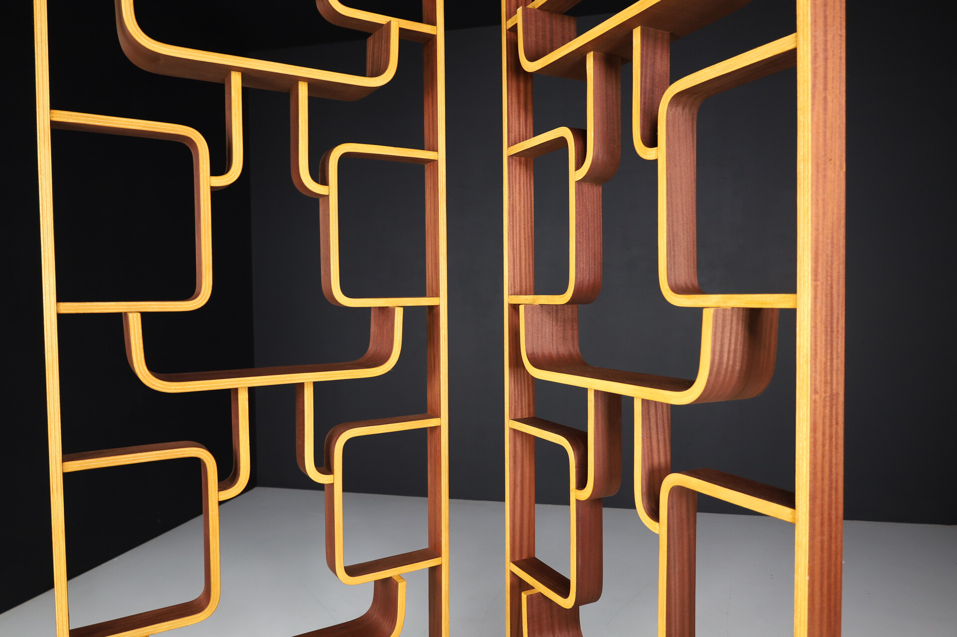 Mid century modern Room Divider by Ludvik Volak for Drevopodnik Holesov, 1960s Mid-20th century