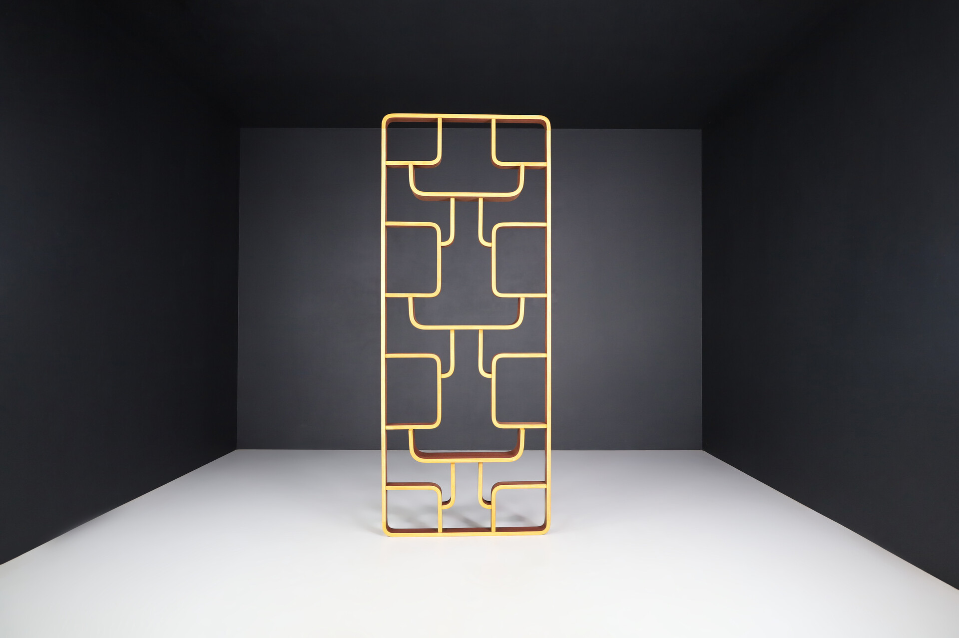 Mid century modern Room Divider by Ludvik Volak for Drevopodnik Holesov, 1960s Mid-20th century