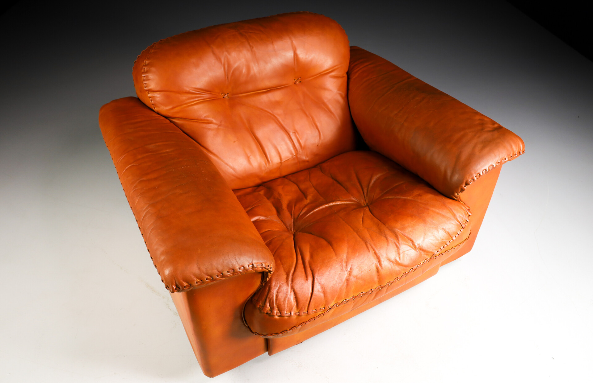 DS 101 arm chair by De Sede, 1960s